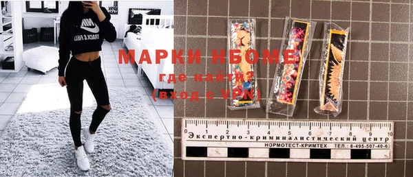 стафф Арсеньев
