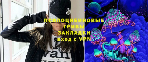 стафф Арсеньев