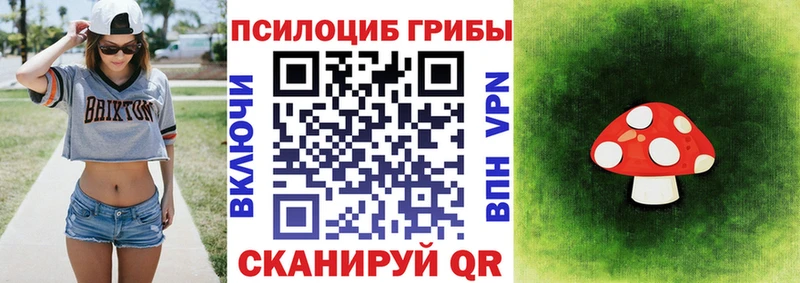 Псилоцибиновые грибы ЛСД Ессентуки